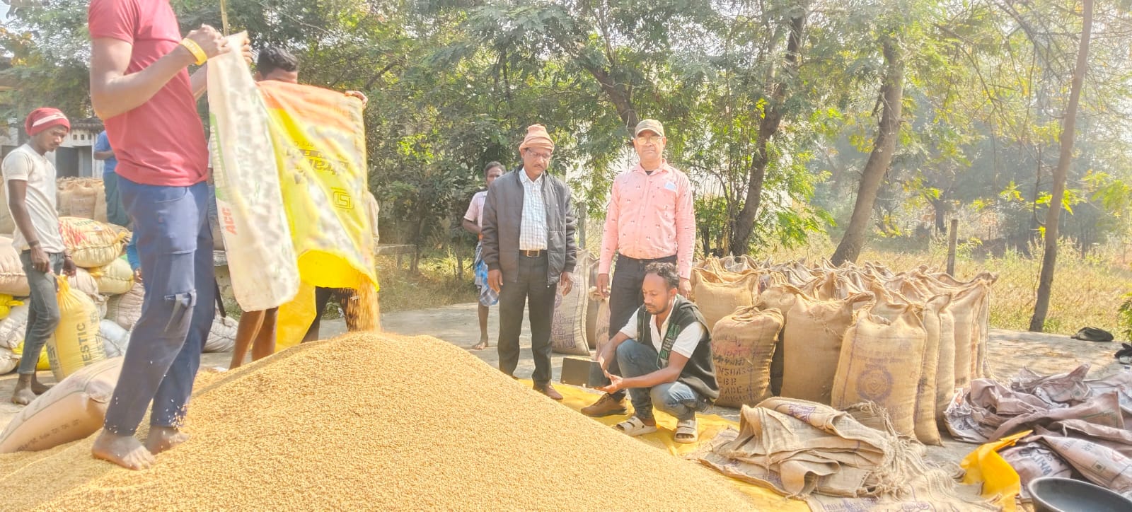 जिले में 19,436 किसानों ने बेचा धान, 10 लाख क्विंटल से अधिक खरीदी