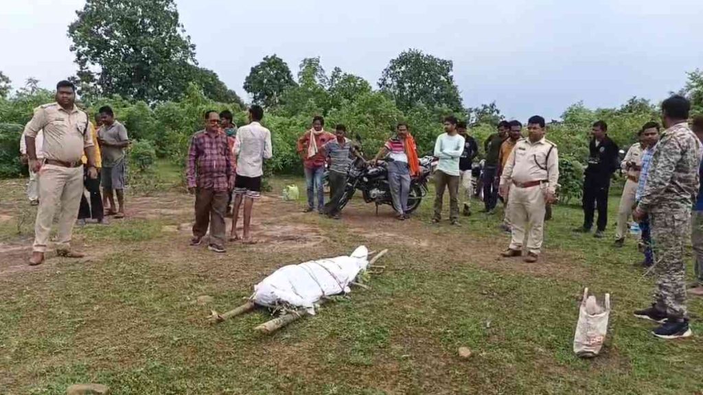 हाथी के हमले से एक महिला की मौत, एक बुरी तरह जख्मी