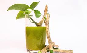  रोज गिलोय का पानी पीना सेहत के लिए कितना फायदेमंद? आइए जानते है फायदे और नुकसान 