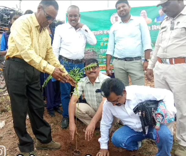 जिला भाजपा उपाध्यक्ष चंद्रिका प्रसाद डड़सेना ने एक पेड़ मां के नाम अभियान के तहत किया पौधारोपण