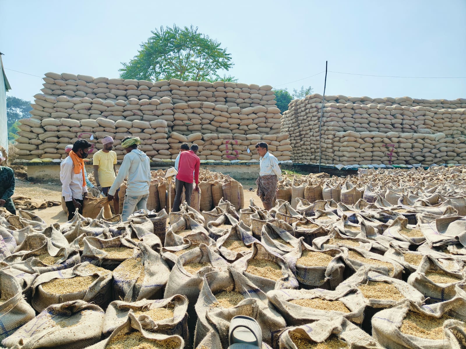 जिले में धान खरीदी सुचारु रूप से जारी, 37 हजार किसानों ने बेचा धान 