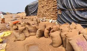 अमरकोट धान घोटाला: 1.65 करोड़ की गड़बड़ी उजागर,तीन कर्मचारी निलंबित एफआईआर के निर्देश