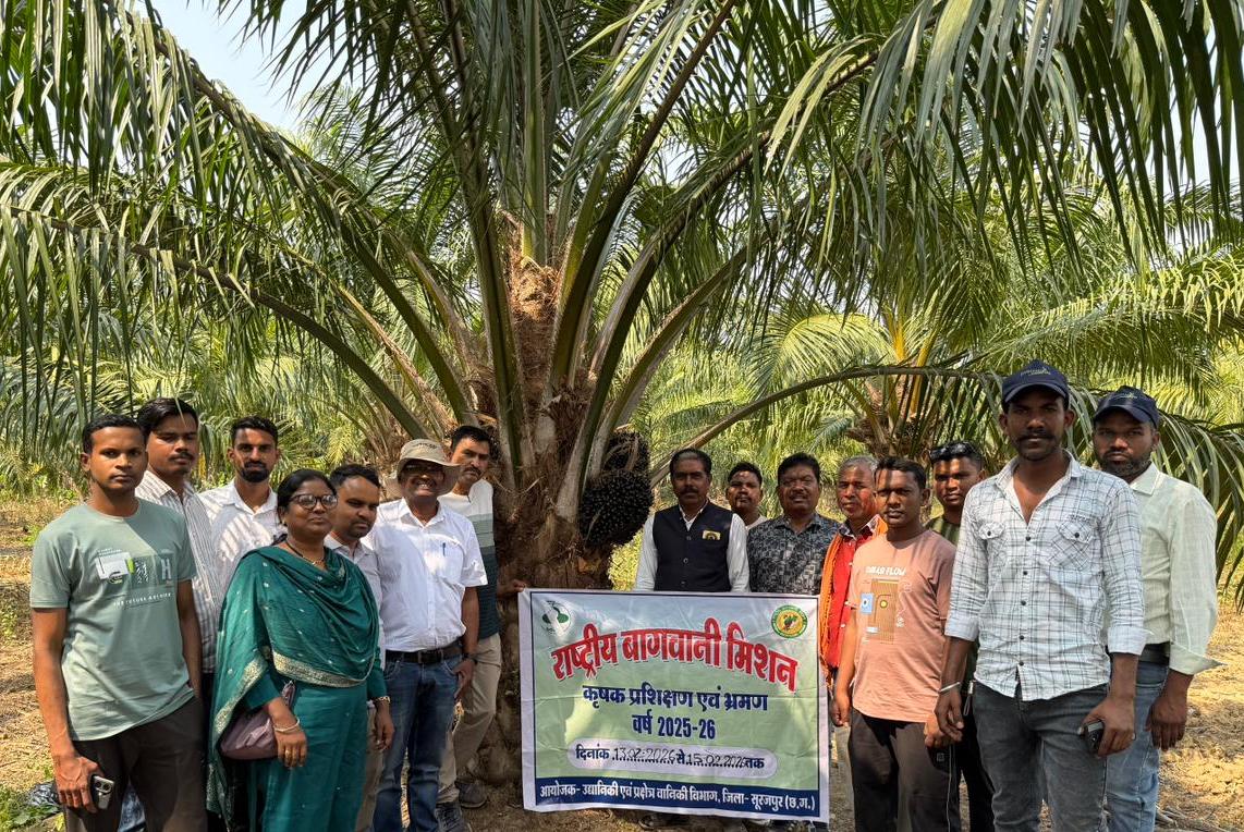  छत्तीसगढ़ के किसानों ने ओडिशा में देखी ऑयल पाम की खेती