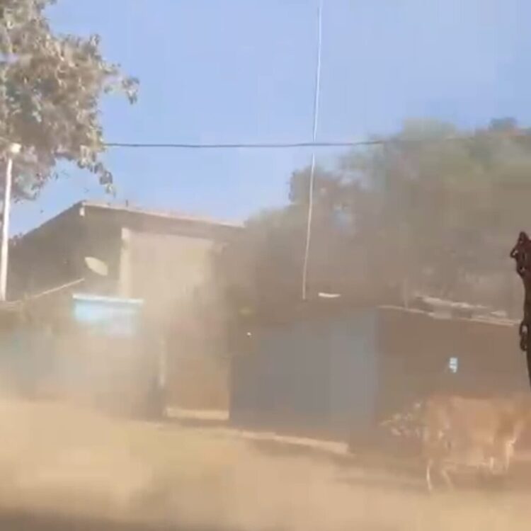 सड़क चौड़ीकरण में भारी लापरवाही, धूल से बेहाल वार्डवासी SDM के पास पहुँचे, कार्रवाई नहीं हुई तो आंदोलन की चेतावनी