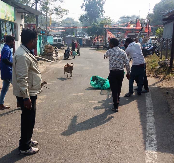 हाईकोर्ट के निर्देशों पर आवारा और पालतू कुत्तों में रेबीज रोकथाम के लिए चिरमिरी में चला विशेष टीकाकरण अभियान