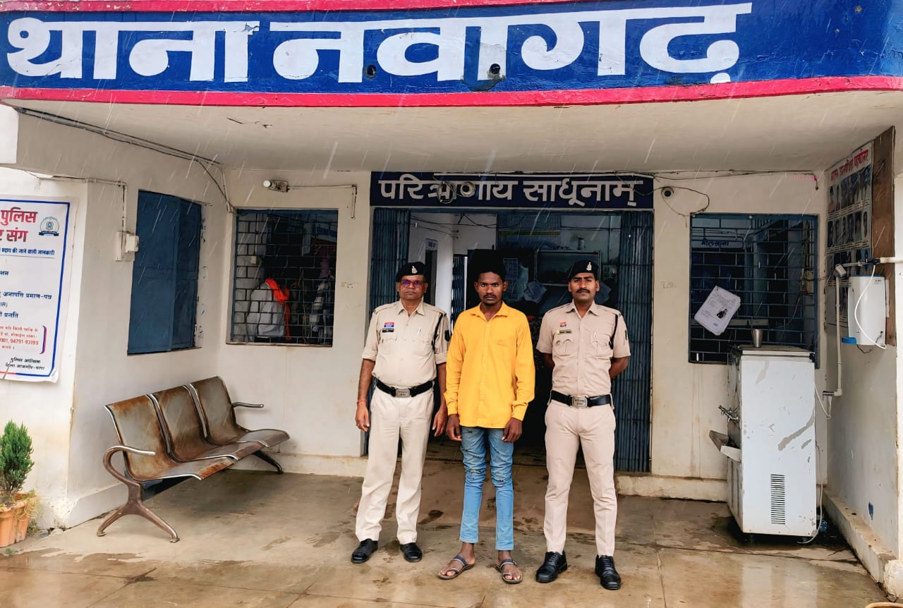 नाबालिक बालिका से अनाचार करने वाला आरोपी गिरफ्तार 