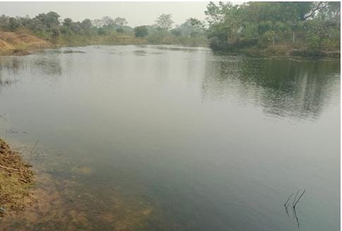 मोर गांव मोर पानी अभियान से 45 परिवारों की जिंदगी में आया बड़ा बदलाव