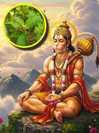 जानिए हनुमान जी को क्यों प्रिय है तुलसी? पढ़ें पौराणिक कथा