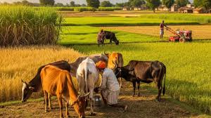 भारत-अमेरिका टैरिफ विवाद: कृषि और डेयरी उत्पादों पर मतभेद, 5 देशों ने भी किया समझौते से इनकार