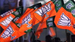  निकाय चुनाव  : कांग्रेस का सूपड़ा साफ, 27 जिला पंचायत और 116 जनपदों में BJP का कब्जा