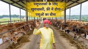 पशुपालकों के लिए अच्छी खबर, फ्री में होगा पशुओं का बीमा,यहां देखें डिटेल्स