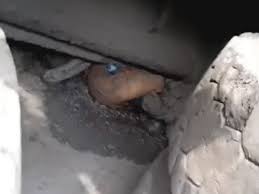 कोरबा हादसा: रफ्तार का कहर, ट्रक ने 3 को रौंदा, मौत