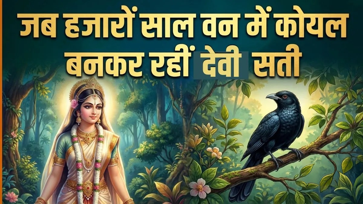 माता सती की एक भूल, भगवान शिव का कठोर श्राप और कोयल बनने का रहस्य... जानिए कोकिला व्रत की अद्भुत पौराणिक कथा