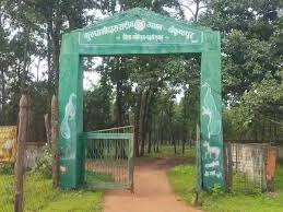 गुरु घासीदास राष्ट्रीय उद्यान में हाथी का हमला, महुआ बीनने गए व्यक्ति की मौत