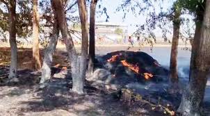 सड़क किनारे खड़ी गाड़ी से टकराई बाइक, सिर में चोट से युवक की मौके पर मौत