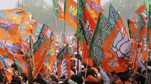 दंतेवाड़ा जिले में बीजेपी ने भाजपा की कार्यकारिणी घोषित की,देखिए लिस्ट 