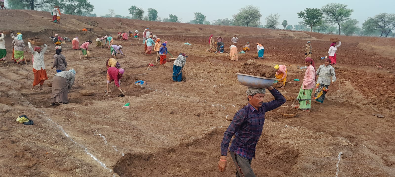 ग्राम पंचायत भेड़ीकला में मनरेगा का कार्य जोरों पर