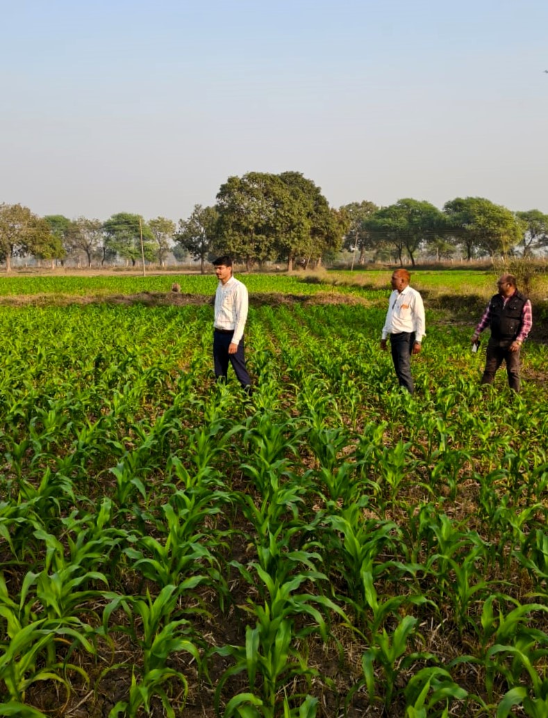पचास साल बाद बदली खेती की तस्वीर,अरकार के किसानों ने पानी बचाने को बदली फसल