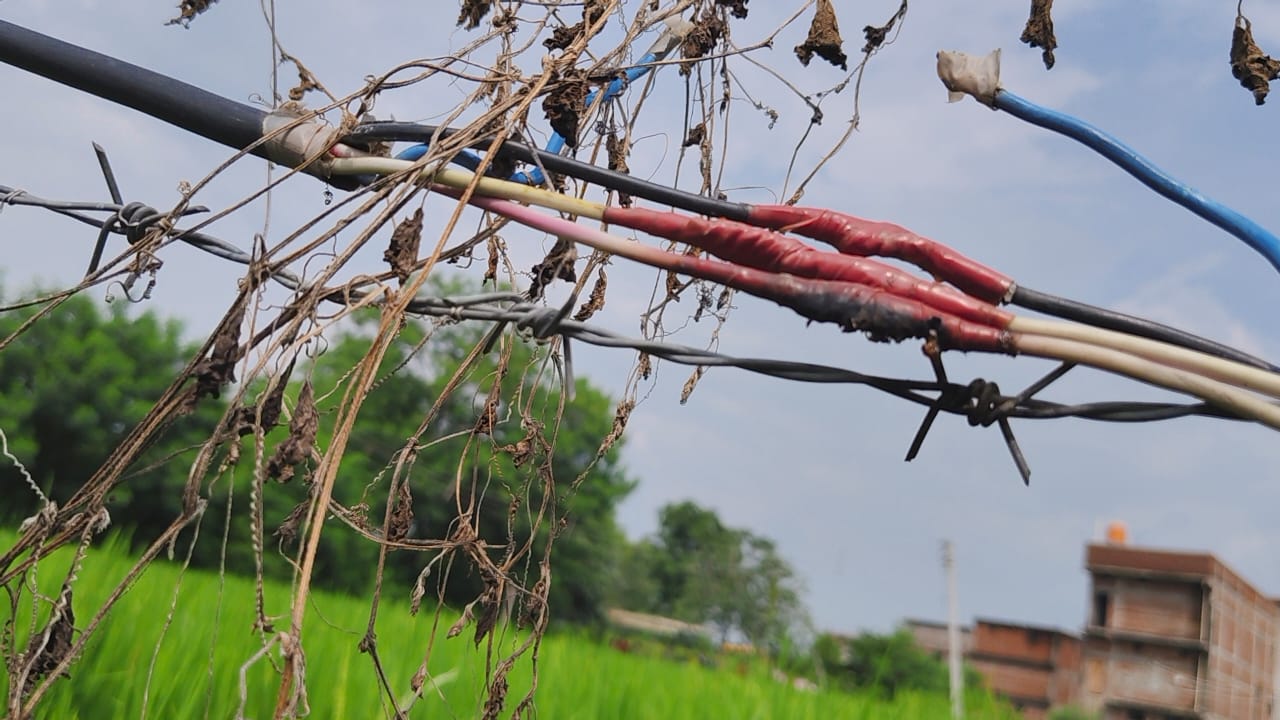खेत के बोर वायर मे चिपकने से महिला की दर्दनाक मौत 