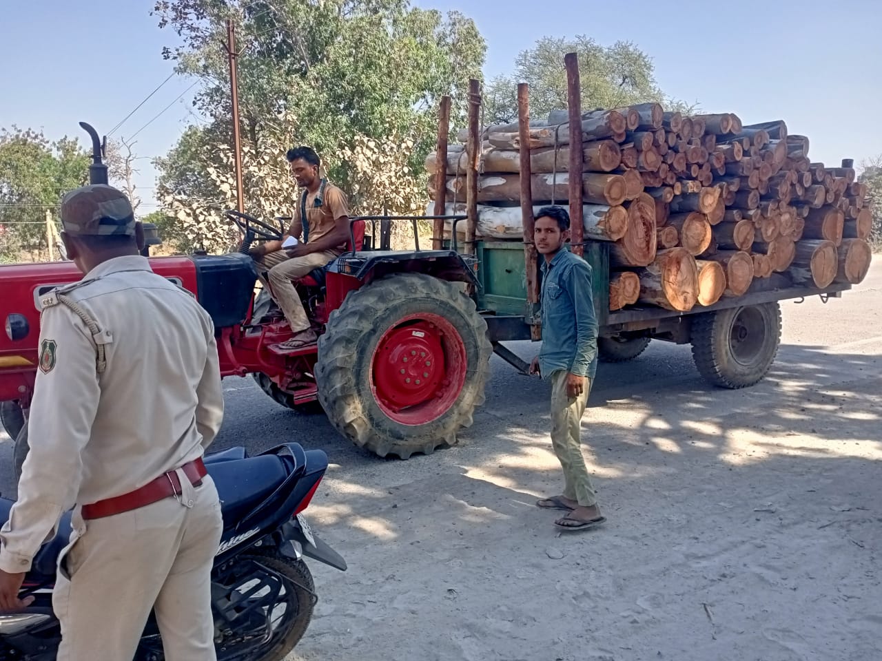 अवैध रूप से परिवहन कर रहे निलगिरी लट्ठा लोड़ ट्रैक्टर को वन अमला ने किया जप्त 