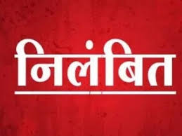 पटवारी को फसल गिरदावरी कार्य में लापरवाही पड़ी भारी ,निलंबित