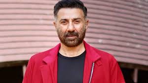 सनी देओल के हाथ लगा बड़ा प्रोजेक्ट,इस एक्शन थ्रिलर में नजर आएंगे एक्टर 
