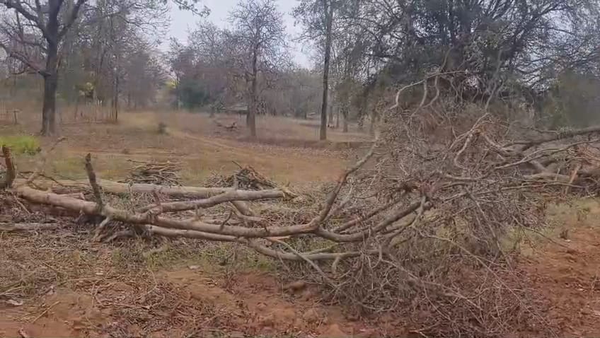 बीजापुर में सड़क निर्माण विवाद, ग्रामीणों का प्रदर्शन, जांच के आदेश