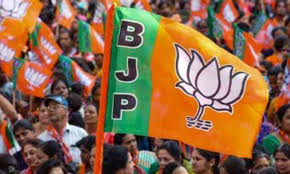 नगरीय निकाय चुनाव 2025 : रायपुर जिले के सभी निकायों में प्रत्याशियों का ऐलान,देखें सूची