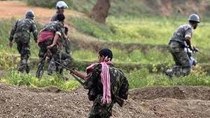 बीजापुर : सुरक्षाबलों को मिली बड़ी सफलता,एक करोड़ के इनामी समेत 10 माओवादी ढेर