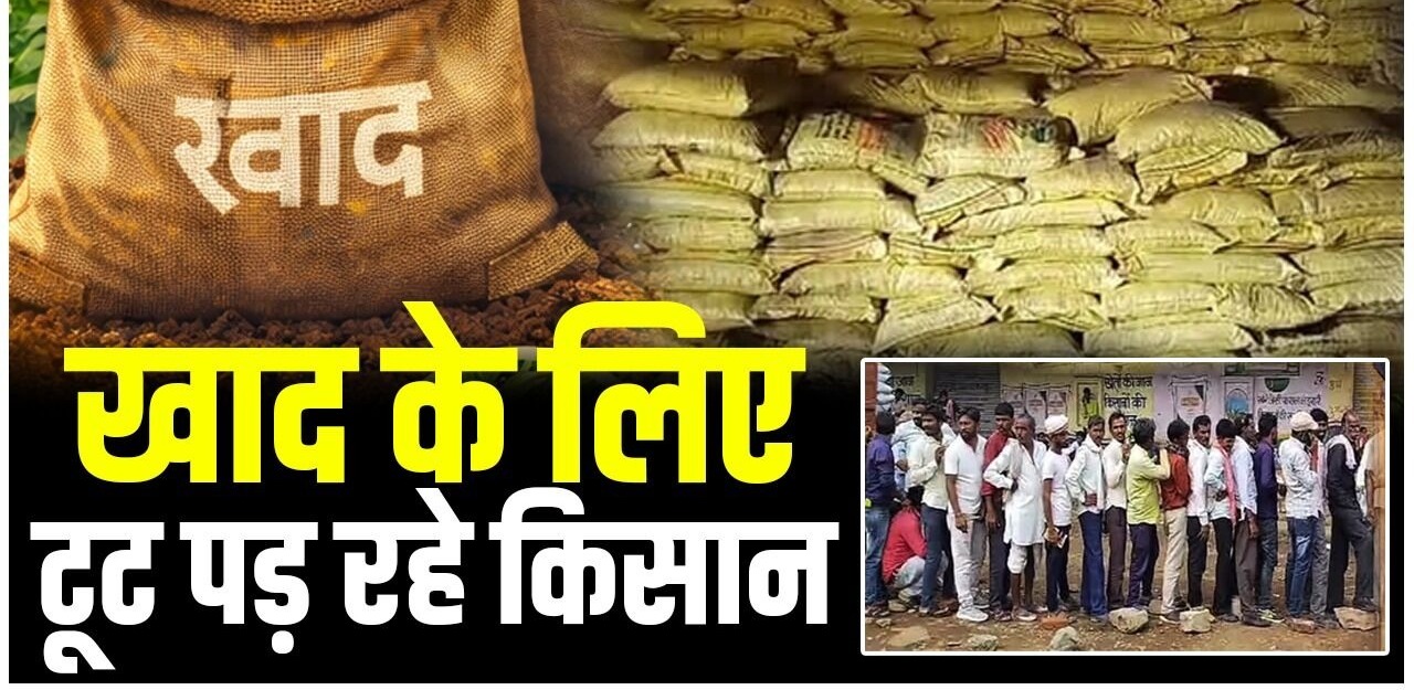 पेट्रोल की तरह अब खाद के लिए टूट पड़े किसान, सरकार का दावा- भंडारण पर्याप्त, डीएपी का स्टॉक भी बढ़ा