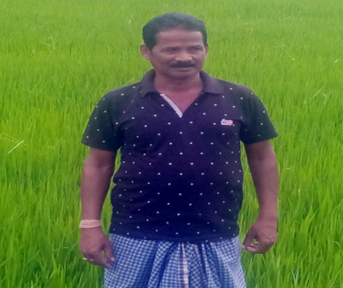 कम लागत में अधिक मुनाफा दिला रही प्राकृतिक खेती : जीवामृत, नीमास्त्र और हरी खाद से सशक्त होती मिट्टी