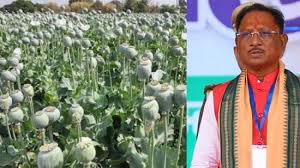 अफीम की अवैध खेती पर मुख्यमंत्री विष्णु देव साय का कड़ा रुख