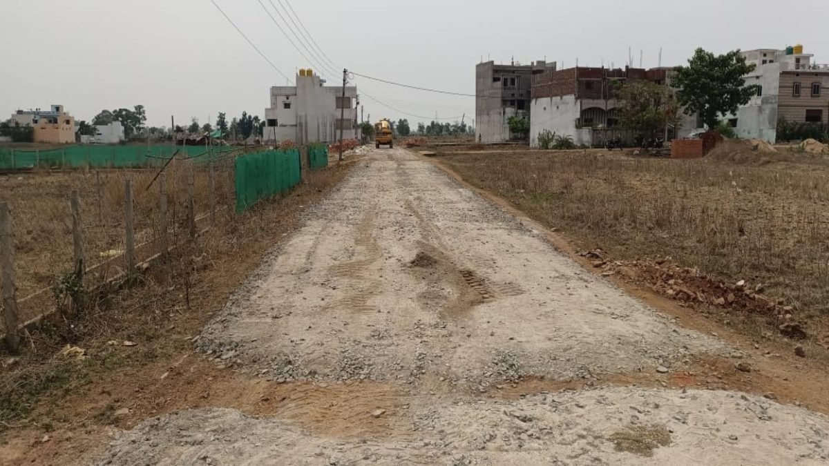   नगर पालिका की भूमिका पर सवाल,अवैध काॅलोनी में सड़क निर्माण.. कलेक्टर ने लिया संज्ञान 