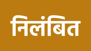 लापरवाही और उदासीनता के चलते पंचायत सचिव मोहन पटेल निलंबित
