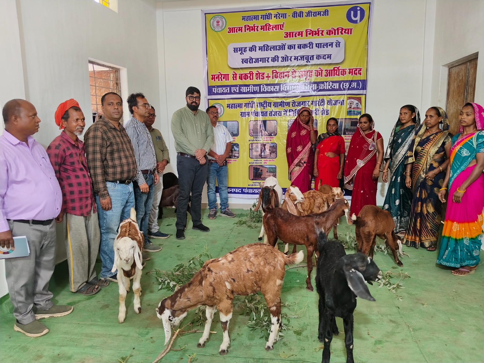 आत्मनिर्भरता की ओर बढ़ता ग्राम तंजरा, बकरी पालन बना स्वरोजगार का सशक्त माध्यम
