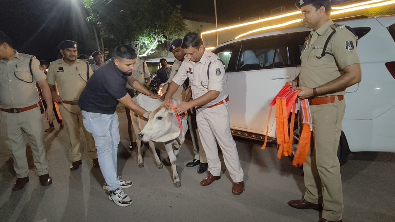 रायगढ़ पुलिस की विशेष पहल: मवेशियों की सुरक्षा के लिए रेडियम पट्टी पहनाने अभियान शुरू