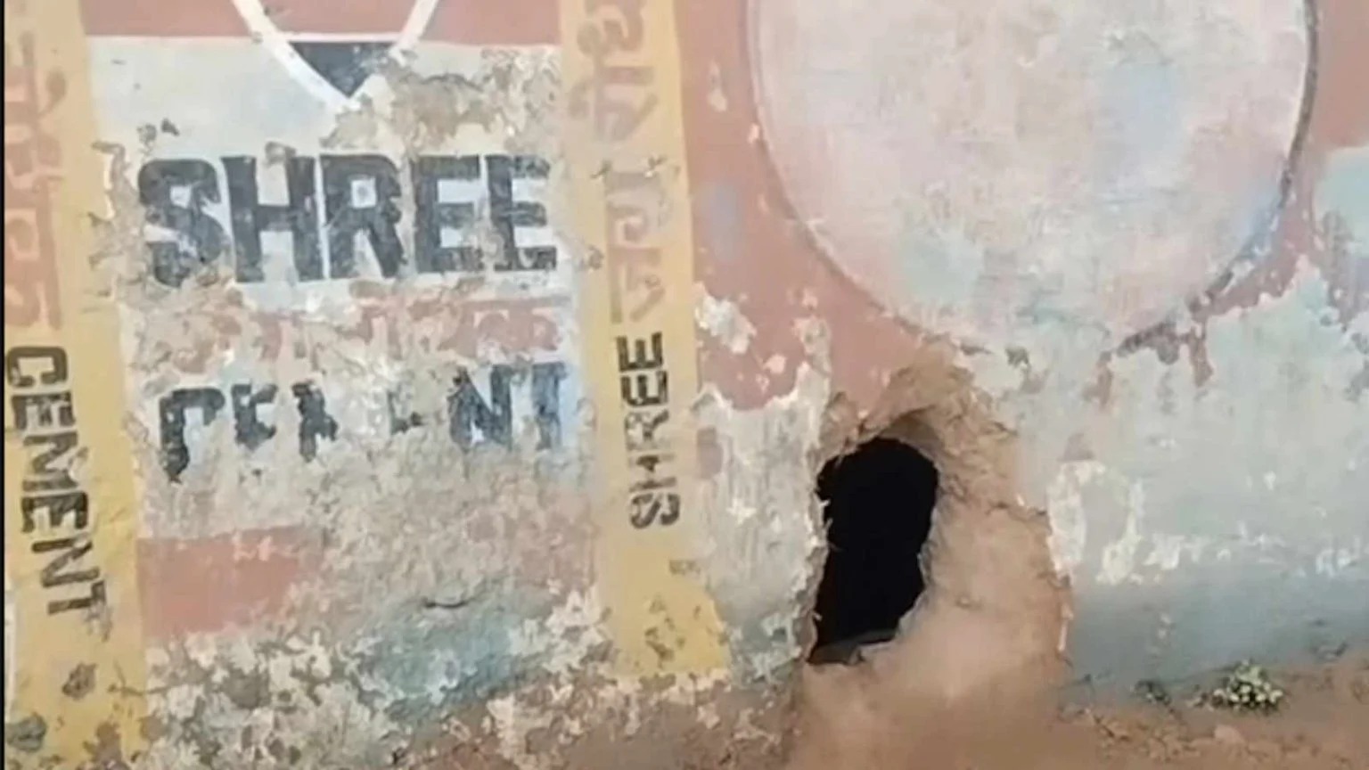 कटघोरा में दीवार में सेंध लगाकर 25-30 बकरियां चोरी, लाखों के नुकसान के बाद पुलिस जांच में जुटी