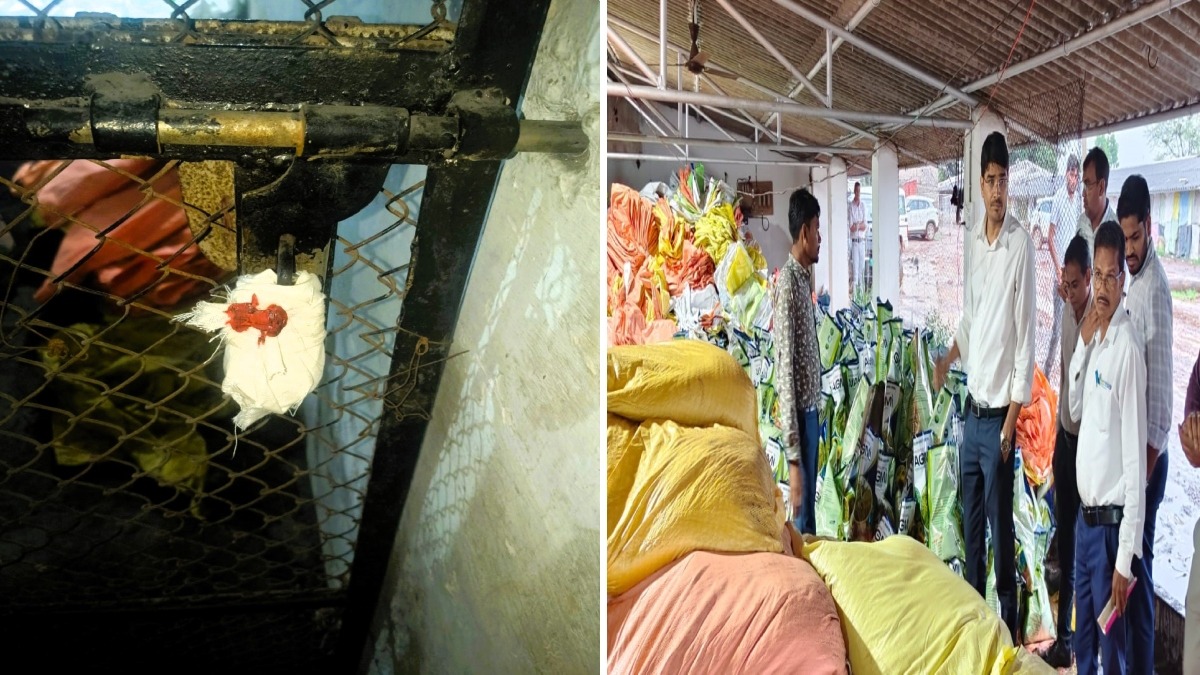 बालोद में अवैध कृषि कारोबार का खुलासा! गोदाम में हो रही थी पैकिंग, टीम ने छापा मारकर भारी मात्रा में सामग्री और मशीनें की जब्त