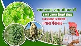 किसानों के लिए वरदान :  इन 5 फसलों की नई उन्नत किस्म की करें खेती,मिलेगी ज्यादा पैदावार