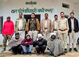 जंगली सुअर के अवैध शिकार के मामले में रामानुजगंज कोर्ट ने चार आरोपियों की जमानत खारिज की 