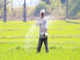 छत्तीसगढ़ सरकार ने डीएपी की कमी पूरा करने पुख्ता वैकल्पिक व्यवस्था की