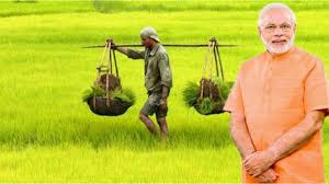 किसानों के लिए बड़े तोहफे का ऐलान,मोदी सरकार ने बढ़ाई धान की MSP..KCC को लेकर भी खुशखबरी 