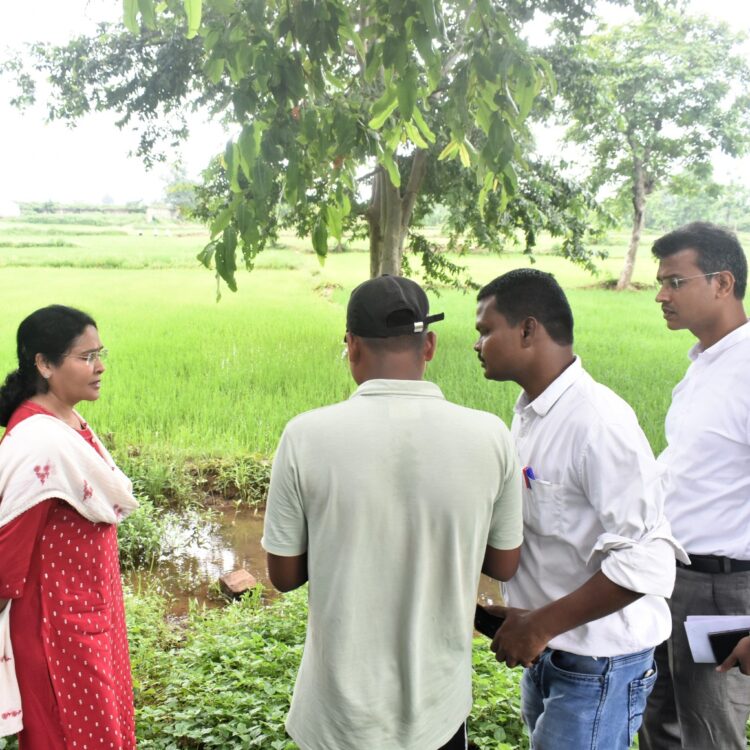 बालोद जिले में डिजिटल फसल सर्वेक्षण कार्य प्रारंभ