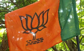 छत्तीसगढ़ भाजपा का तीन दिवसीय चिंतन शिविर मैनपाट में दिग्गजों का लगेगा जमावड़ा