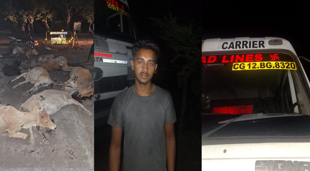 जांजगीर-चांपा में दर्दनाक हादसा, तेज रफ्तार हाईवा ने 12 गौवंशों को कुचला