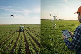 Precision Farming: स्मार्ट खेती का नया दौर, कम खर्च, ज्यादा पैदावार!