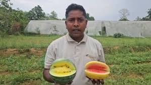छत्तीसगढ़ के इस किसान ने रंग बिरंगे तरबूजे का उत्पादन कर बदल दी परिवार की तस्वीर,ऐसे किया कमाल 