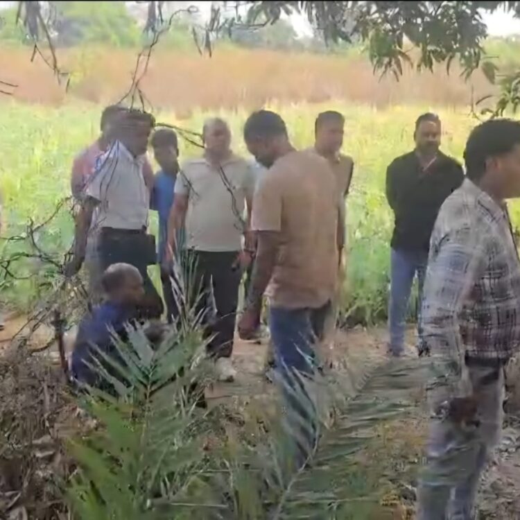 जिले -जिले अफीम की खेती, पुलिस रही सोती