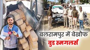 बलरामपुर के रामानुजगंज फॉरेस्ट रेंज में लकड़ियों की अवैध तस्करी का खुलासा 