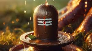 आज है सफला एकादशी,शिवलिंग पर चढ़ाएं ये चीजें, दूर होंगे दुख